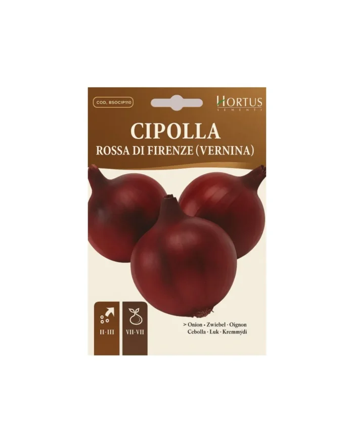 Cipolla rossa di firenze - Image 1