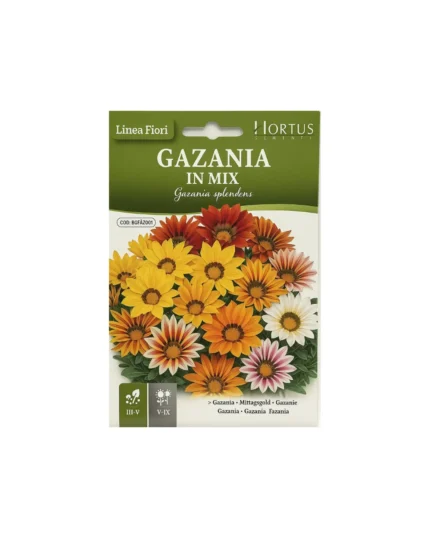 Gazania splendens