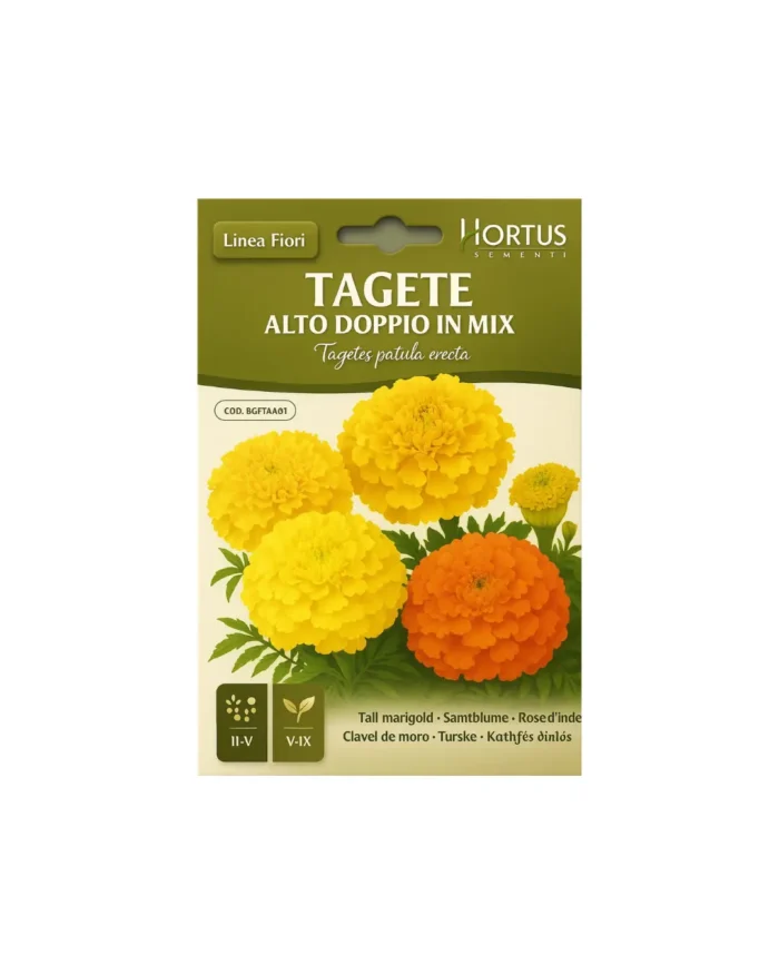 Tagete patula erecta - Image 1