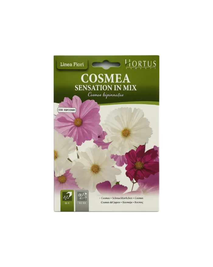 Cosmea sensation in mix - Image 1