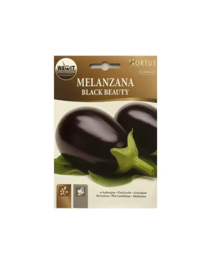 Melanzana black beauty