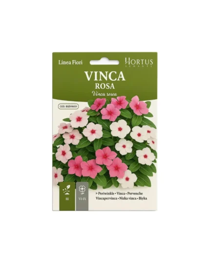 Vinca rosa
