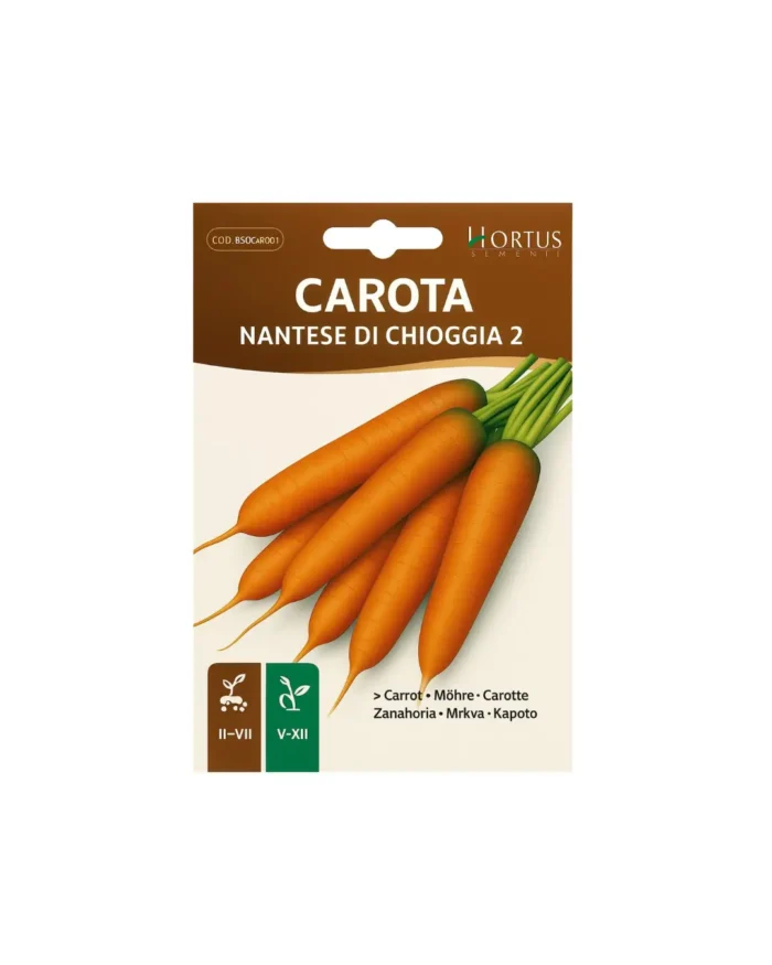 Carota nantese di chioggia2 - Image 1
