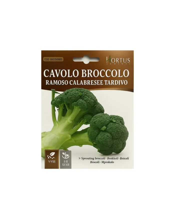 Cavolo broccolo - Image 1