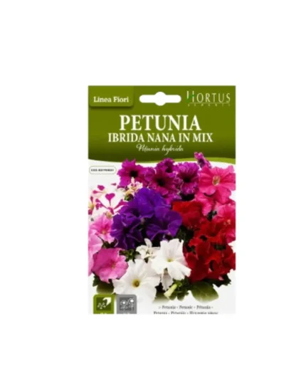 Petunia