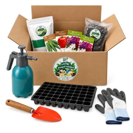 Growing Sesson Box
